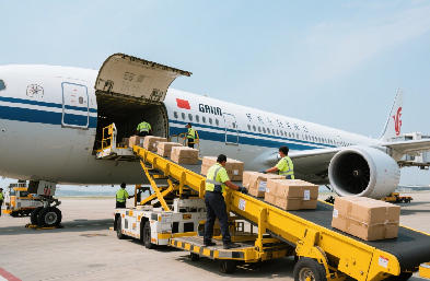 高效国际物流调配，缩短跨境流通周期